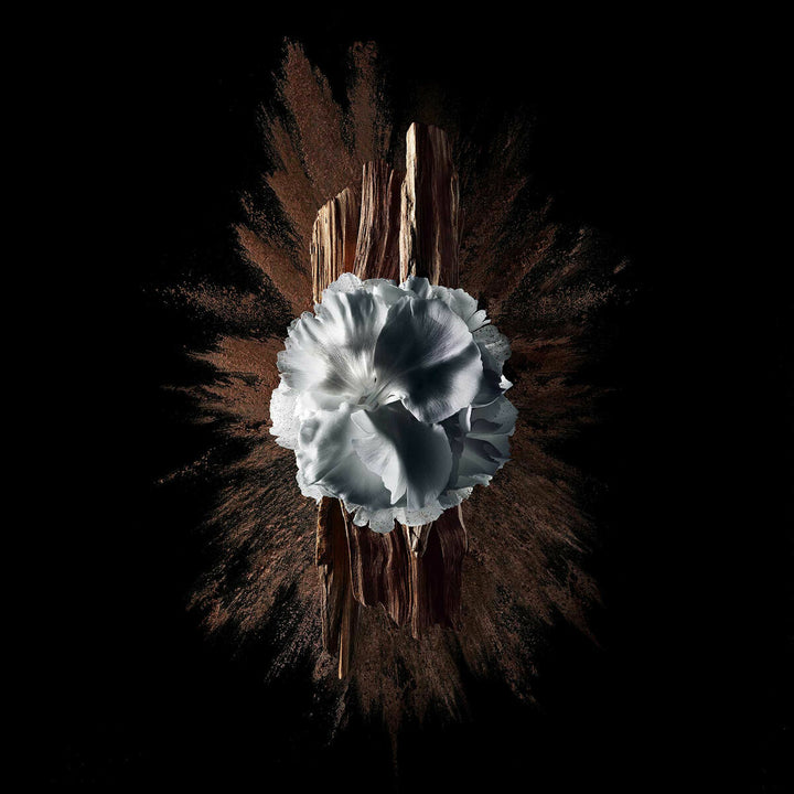 V4HD57BFFBA2AA917DD3D6BAA465CAA4794R5397790P5