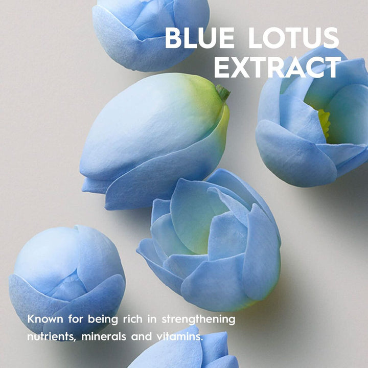 V2HED197BFBB22935555D4D523288F4E233R7388195P8