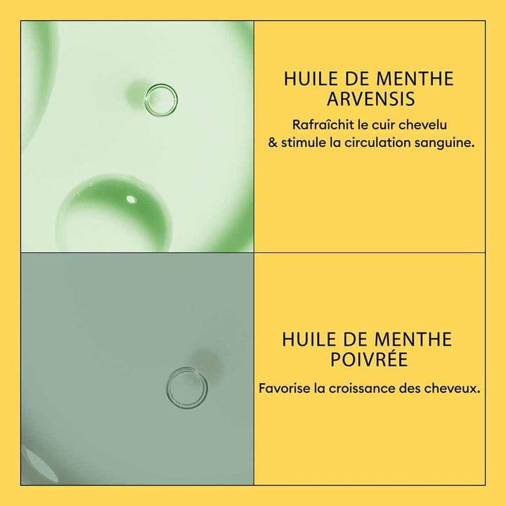 V2H3D05A0AC95CDF0CC80C20380DFE8E3CDR7509596P4